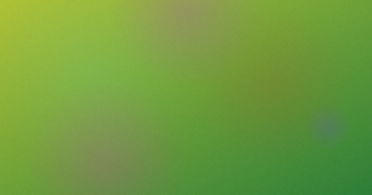 来不及说我爱你攻略